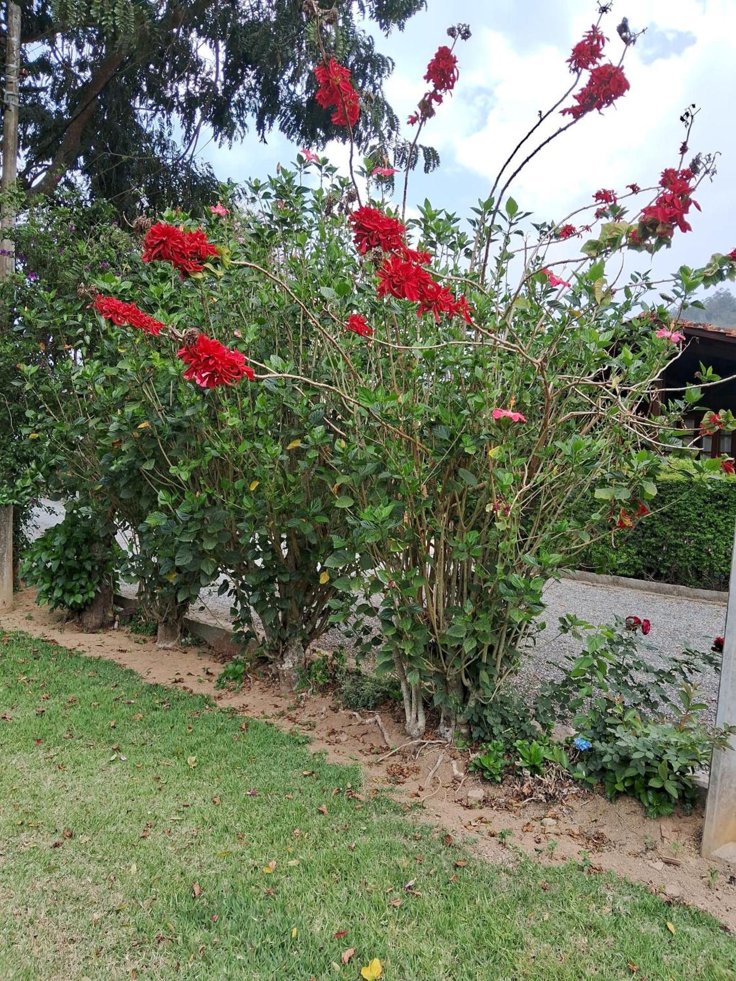 Paz Na Serra Holiday home *